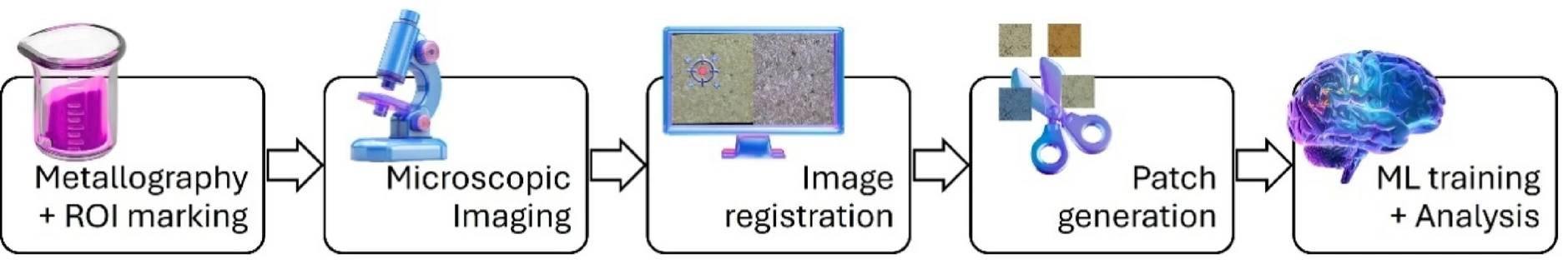 scientific-reports.webp
